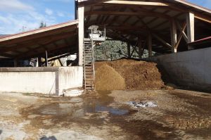 k-Die Glle wird separiert und die Feststoffe an Wein- od. Gemseproduzenten verkauft fr 1.20 Eur100kg